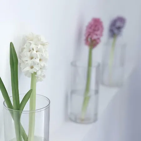 Aegean Of Amorgos 4* Katápola